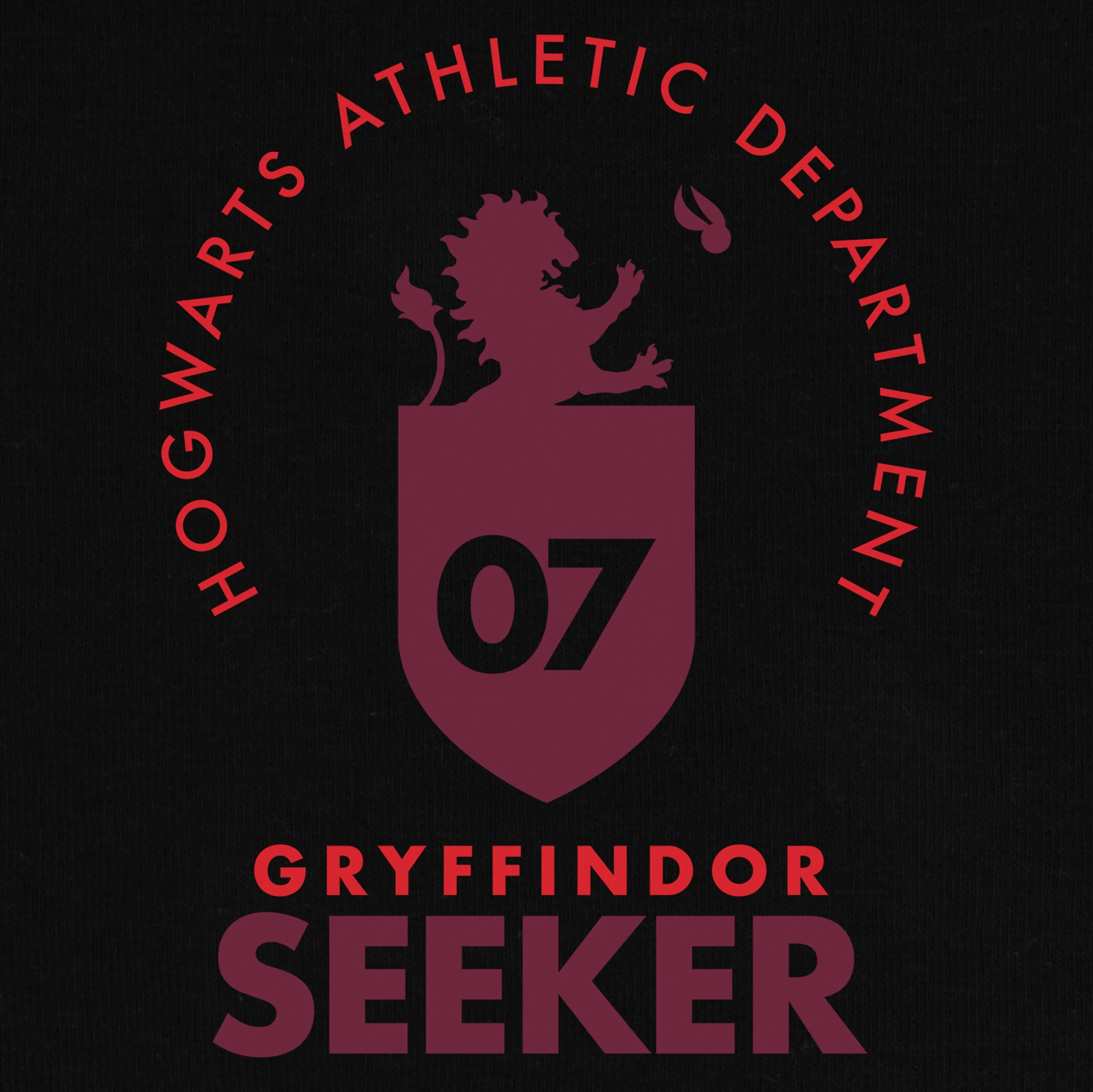 Harry Potter Gryffindor Hoodie